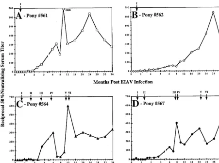 TABLE 2. EIAV-neutralizing activity of the IgGa and IgGbsubclasses in immune seruma