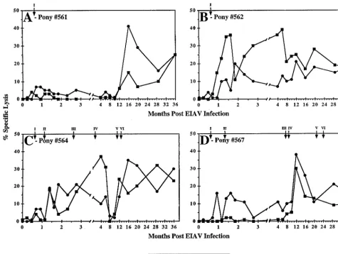 FIG. 8. EIAV-speciﬁc cytolytic T-cell activity in EIAV-infected ponies. EIAV-speciﬁc CTLm activity was measured using fresh peripheral blood mononuclear cellsthat had been activated and expanded by in vitro coculture with recombinant human interleukin-2 and autologous EIAV-infected macrophages from ponies 561, 562,