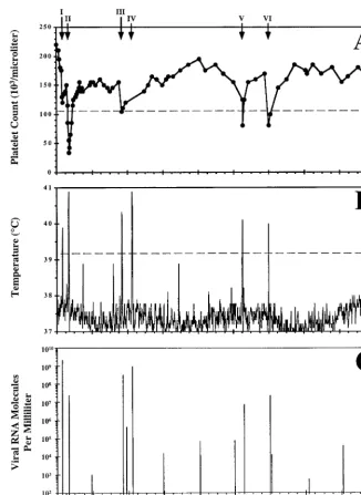 FIG. 4. Clinical course and dynamics of virus replication in pony 567 experimentally infected with EIAV
