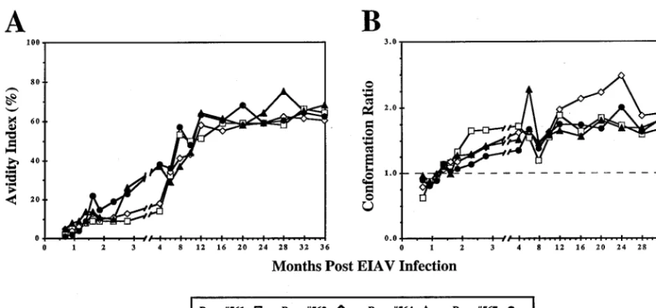 FIG. 6. Avidity and conformational dependence of Env-speciﬁc IgG in EIAV-infected ponies