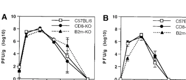 FIG. 5. Survival of B2m-KO (solid triangle), CD8-KO (solid circle), and immunocompetent (open box) C57BL/6 mice after infection with NSV