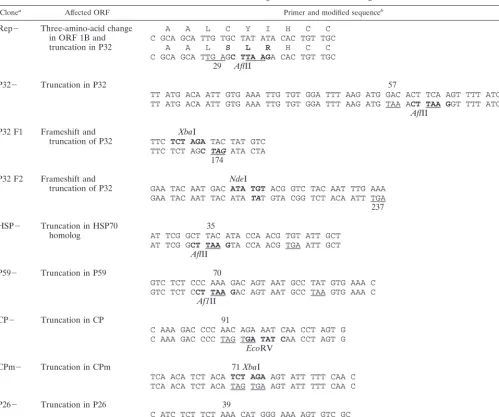 TABLE 1. LIYV mutant clones and oligonucleotides used for mutagenesis