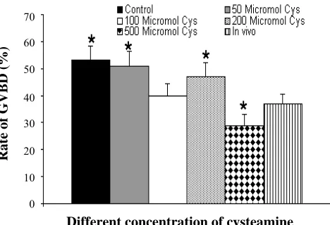 Fig 3. Mean of spindle area in different concentration of cysteamine. *P<0.05; cys , cysteamine