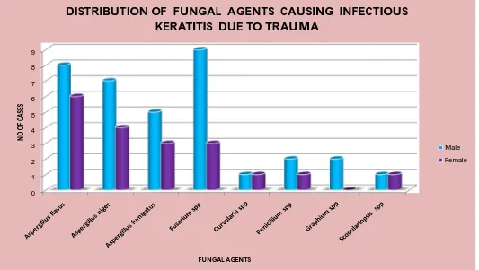 DISTRIBUTION OF  FUNGAL  AGENTS  CAUSING  INFECTIOUSKERATITIS  DUE TO TRAUMAFIGURE -  9