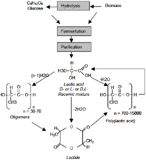 Figure 7. Shows the Nature Works LLC PLA production process from bio mass  