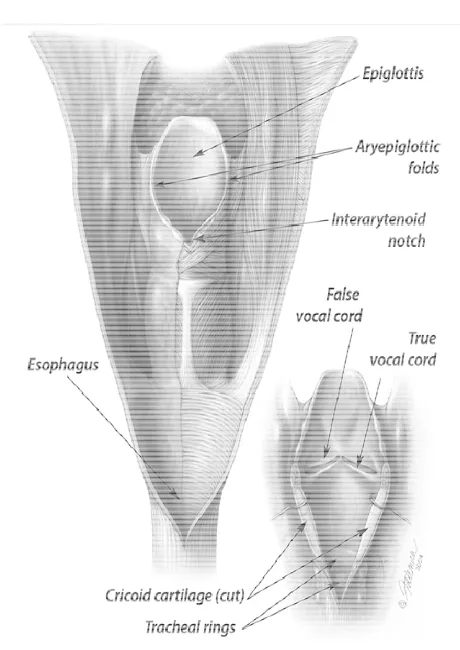 Figure 3 F