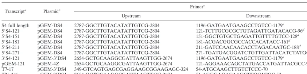 TABLE 1. DNA primers used for PCR to generate linear DNA templates for in vitro transcription