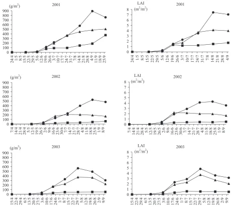 Figure 1. Development of dry weight of sugar beet top from m2– treatments:  (on the left) and LAI of sugar beet (on the right) ■ A, ▲ B, ● C