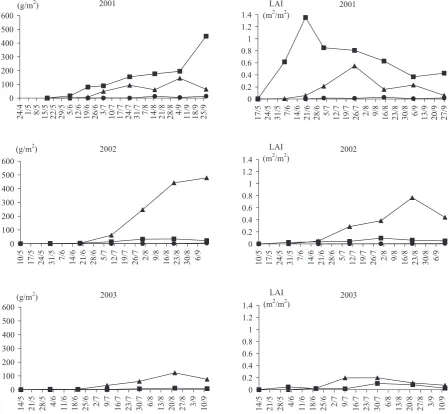 Figure 3. Development of dry weight of aboveground biomass of Amaranthus retroflexus from m2 (on the left) and LAI of A