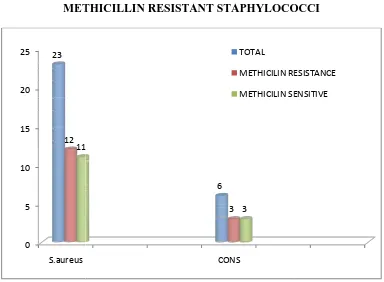 Table 9: DISTRIBUTION OF METHICILLIN Table 9: DISTRIBUTION OF METHICILLIN SENSITIVE &METHICILLIN RESISTANT STAPHYLOCOCCIMETHICILLIN RESISTANT STAPHYLOCOCCISENSITIVE & METHICILLIN RESISTANT STAPHYLOCOCCI 