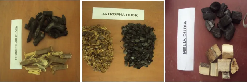 Figure 2. Selected Biomass and It’s Charcoal