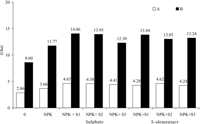 Figure 1. Effect of different rates and forms of sulphur on the total dry matter yields of the crops in 2000–2003a – plants in the juvenile phase; B – plants in the consumption maturity phase