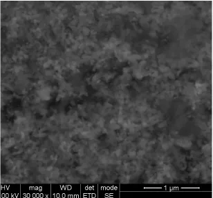 Fig.4. HR SEM – PUTTRU PATHANGAM 