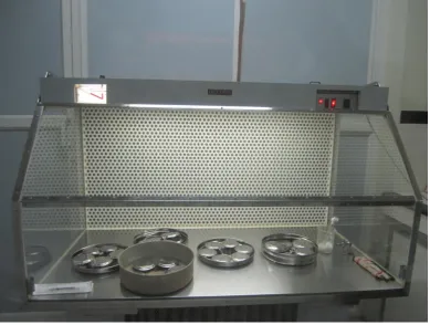 Fig 3: Specimens subjected to autoclaving 