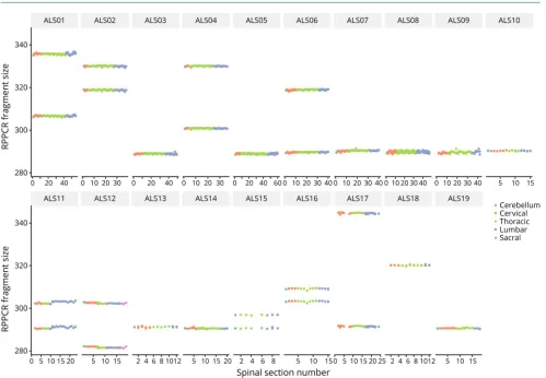 Figure 2 RPPCR fragment sizes in the spinal cord sections of patients with ALS