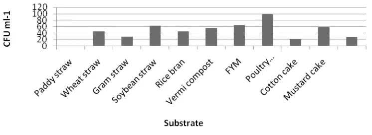 Fig. 4. Effect of hot water sterilization method on mass multiplication of  Pseudomonas fluorecsens (x 108 cfu/g) in different substrates at 35-40° C