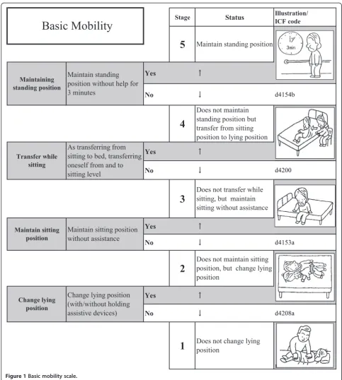 Figure 1 Basic mobility scale.