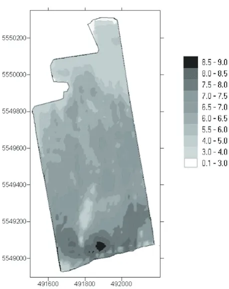 Figure 8. Elevation of plot II (metres above sea level)