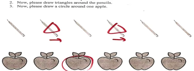 Figure 1.  Sample 'same' response in the definite plural condition (Ionin 