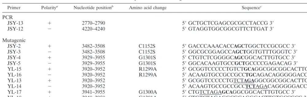 TABLE 1. PCR primers used in the generation of mutants