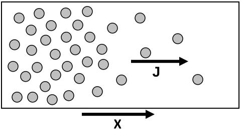 Figure 2.1 Mutual or Counter diffusion of particles in the x direction as a consequence of a concentration gradient in x