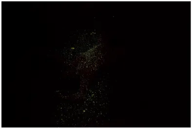 Figure   5.3   Early   still   from   Myth   #1 