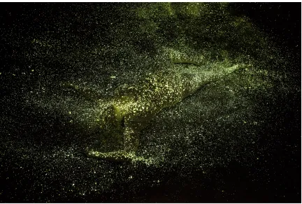 Figure   5.4   Middle   still   from   Myth   #1   