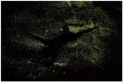 Figure   5.5   Ending   still   from   Myth   #1 