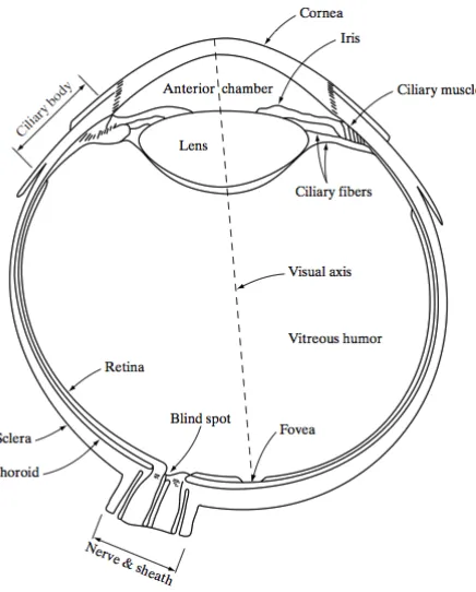 Figure 2-7.   