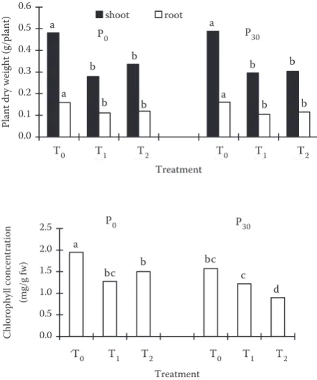 Figure 1. Dry weight of shoots and roots and chloro-phyll concentration in the youngest expanded leaves of 