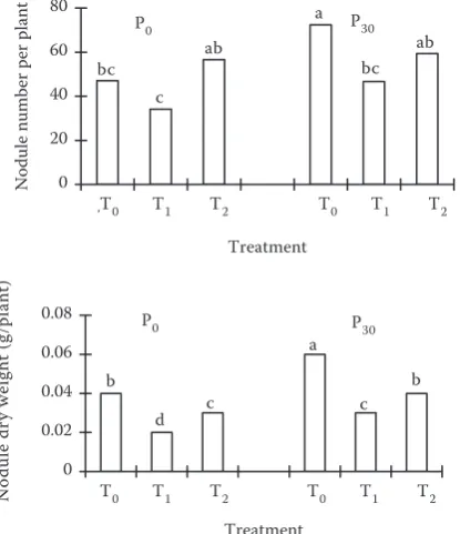Figure 3. Nodule size (dry weight per nodule) of soybean grown at Tin the 50, T1 and T2 seedlings and P0 and P30 levels th week; letters on the top of the bars indicate significant differences at 5% level