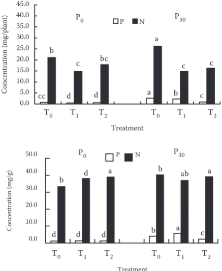 Figure 6. Leghemoglobin (Lb) concentration of soybean grown at T0, T1 and T2 seedlings and P0 and P30 levels in the 5th week; letters on the top of the bars indicate significant differences at 5% level