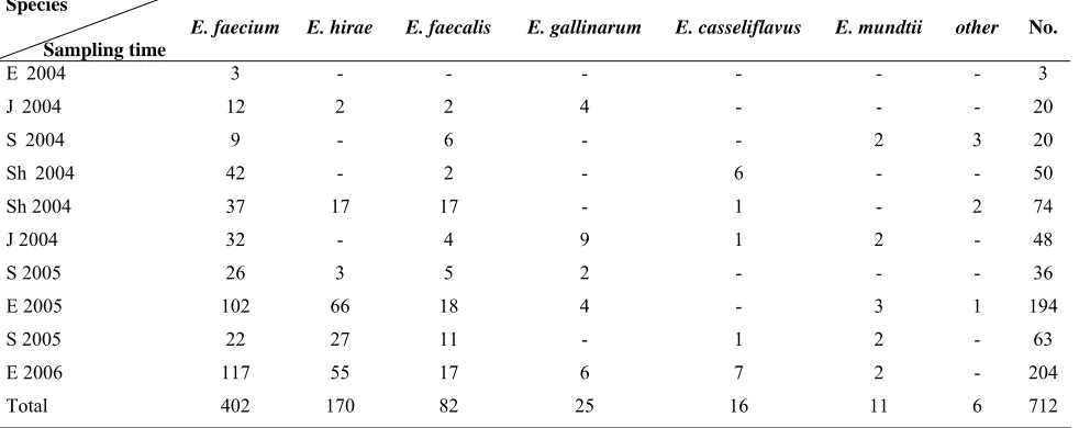 Fig. 1. PCR for identification of different enterococcal spp. E. faecalisE. casseliflavusPCR products were loaded on 1.5% agarose gel