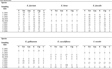 Table 3. Antibiotic resistance according to the every sample in was detected. E. faecium, E