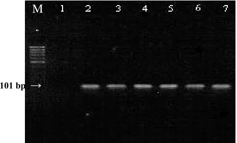 Fig. 1. Identification of Influenza type A virus by RT-PCR. The M gene RT-PCR was applied to a panel of influenza A 