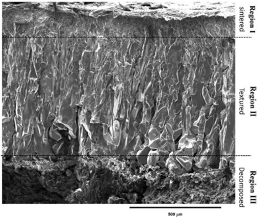 Figure 20: Textured SiC obtained by flash spark plasma sintering. Taken from [110]. 