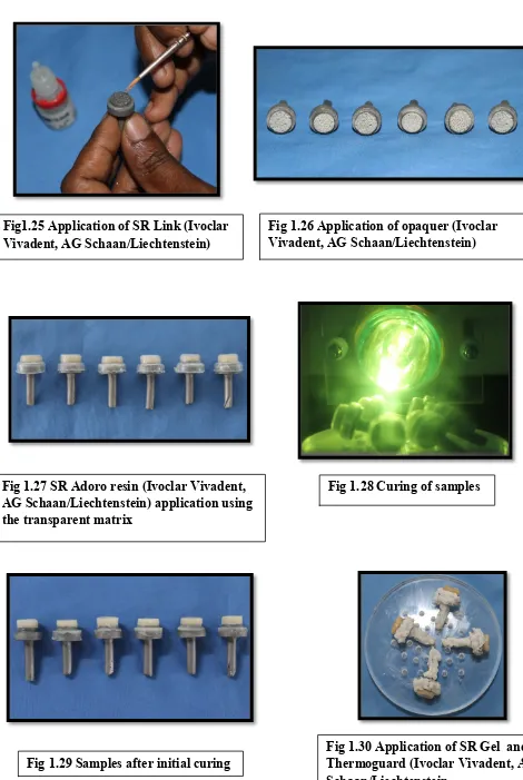 Fig 1.26 Application of opaquer (Ivoclar 