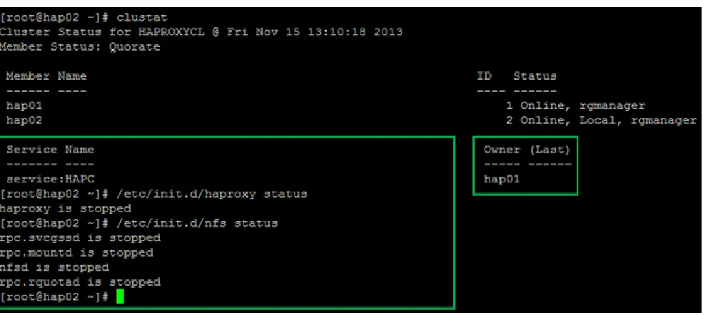 Figure 5.3. HAP02.EXAMPLE.COM Node Status
