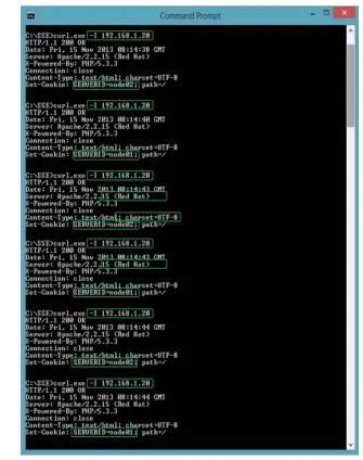 Figure 5.4. Requests serve by Cluster Application Server