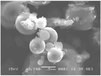 Fig.9.17.SEM image of microcapsule 
