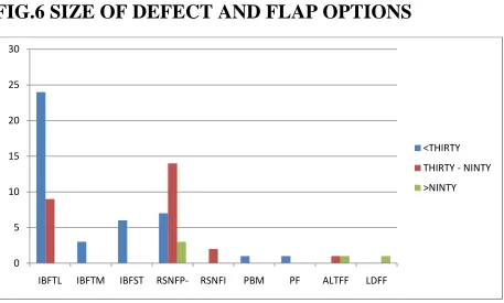 FIG.6 SIZE OF DEFECT AND FLAP OPTIONS  