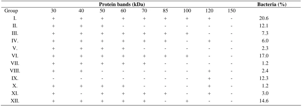 Table 1 and Figure 1. On the bases of protein bands, these were 12 distinct groups. Protein bands with the same size were present in several strains, for 