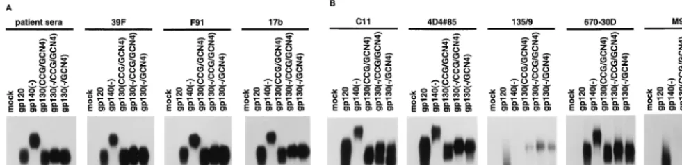 FIG. 5. Recognition of the soluble HIV-1 envelope glycoprotein variants by monoclonal antibodies