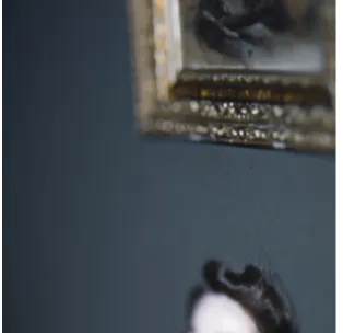Figure 2.1 Untitled Eleanor. 2008.