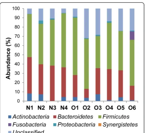 Fig. 3 Average phylum distribution of gut microbiota of non-obese and obese patients. *P < 0.05