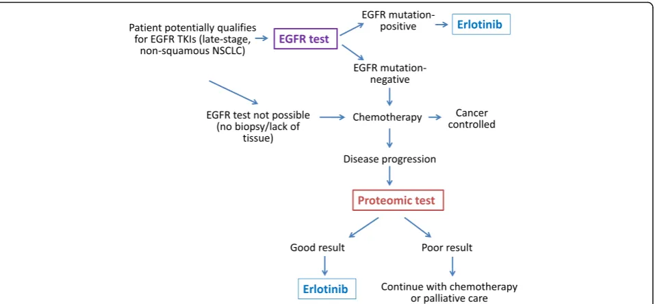 Fig. 1 Algorithm for intended use of EGFR and proteomic testing in NSCLC patients. For clarity, various algorithms of chemotherapy and targetedtreatments other than erlotinib were not included