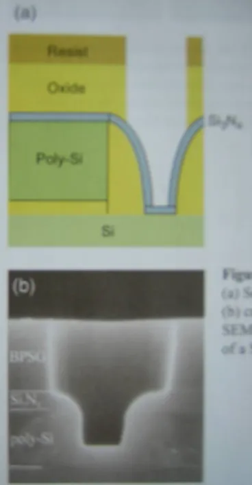 Fig. 3.11  Schematic and cross  section of contact structure.