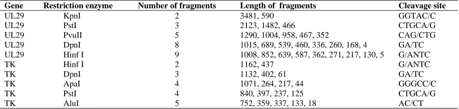 Fig. 1. PCR products of UL29 and TK genes of HSV-1. PCR product of UL29 gene. Lane 1, Plasmid = positive control; Lane 2, KOS strain; Lanes 3, 4 and 5, Iranian isolates; M, 100bp DNA ladder plus