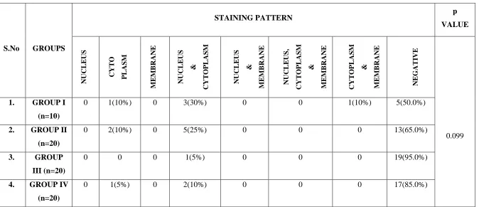 TABLE 8: Staining Pattern In p16 Positive Study Groups 