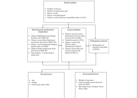 Fig. 1 The measurements and demographic variables chosen in this study according to WHO-ICF